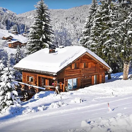 Le Grizzly - Snowlodge Chalet La Clusaz